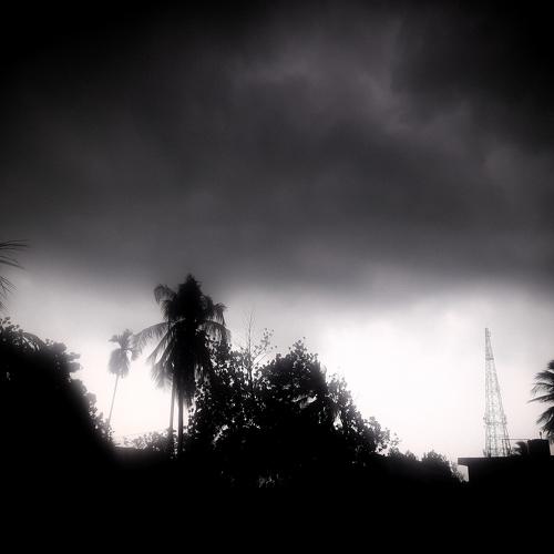 Photo #4562132