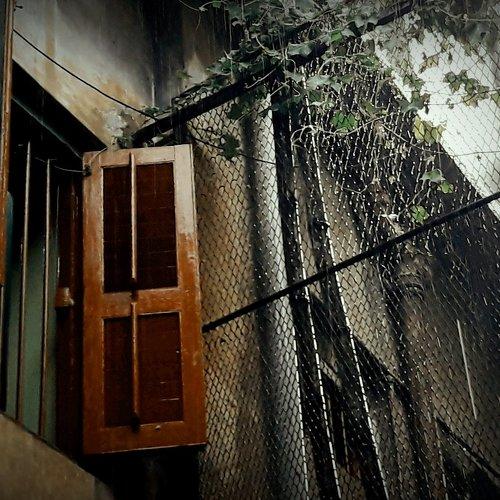 The window pane