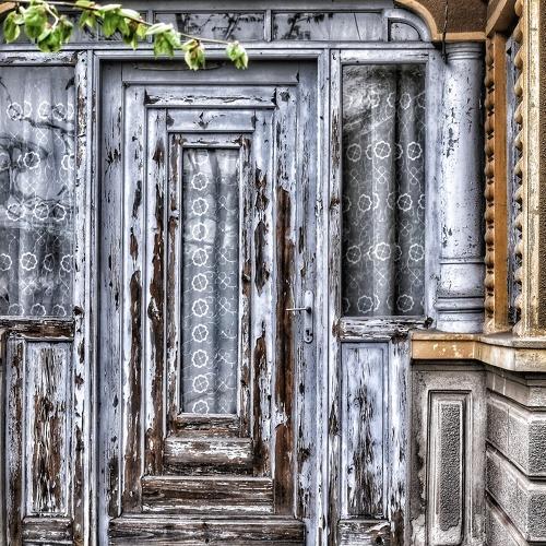 Photo #4562292