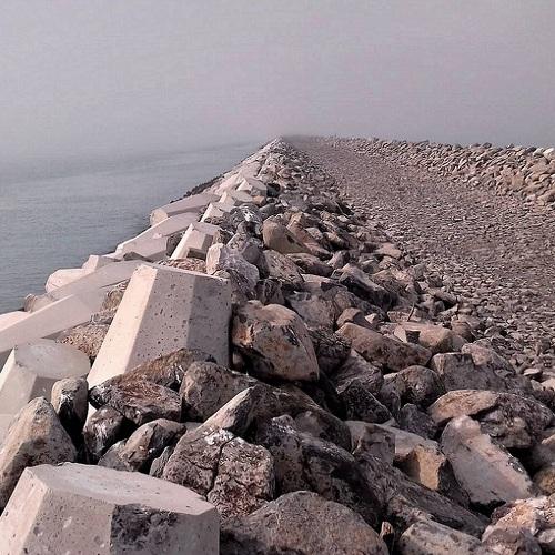 Photo #4562398