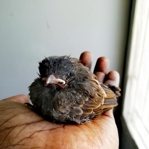 Photo #4562413