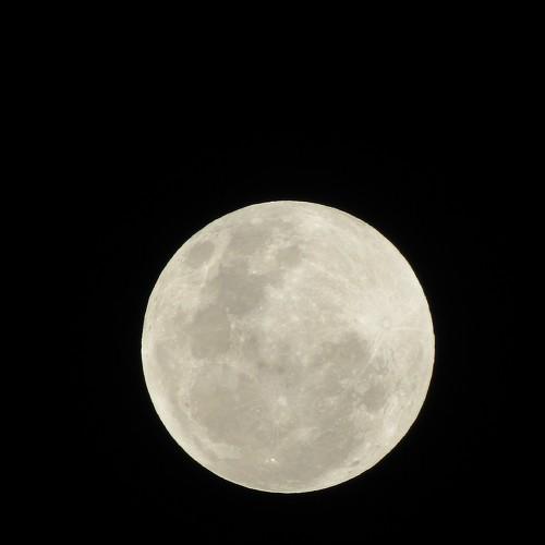 Photo #4562498