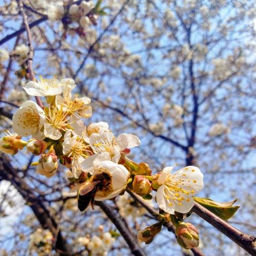Photo #4563038