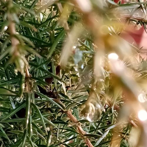 Photo #4563366