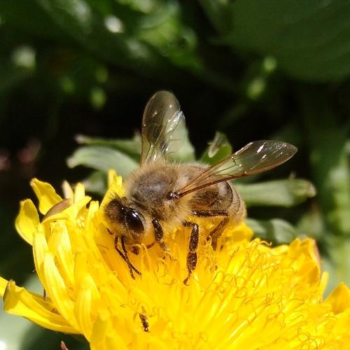 Photo #4563489