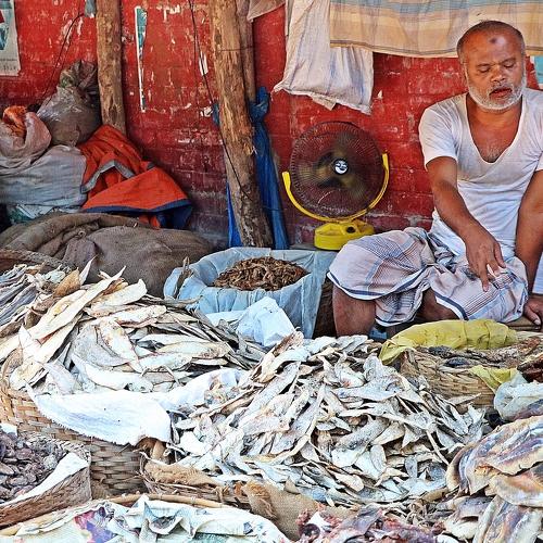 Salting Trough Seller