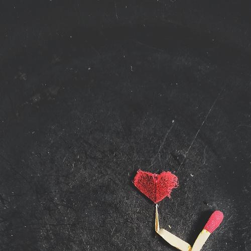 Photo #4563848