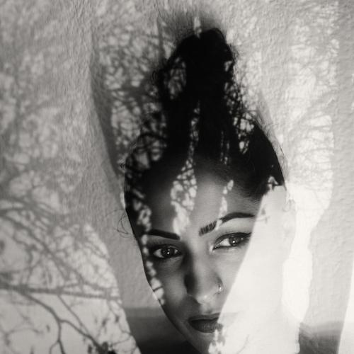 Photo #4563960