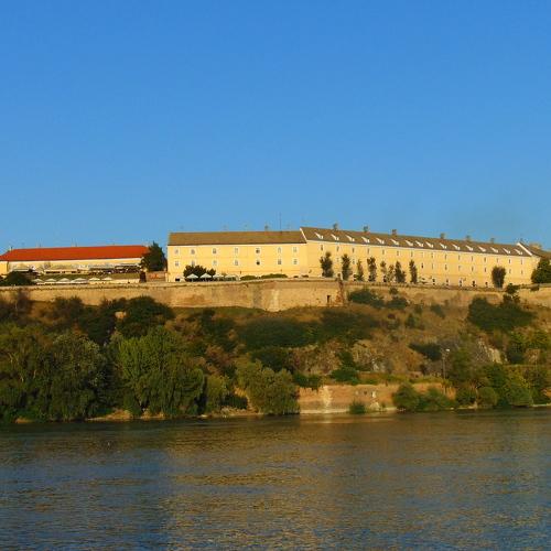 Photo #4563985