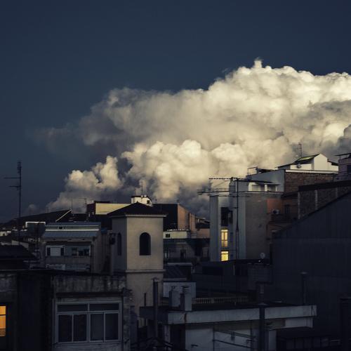 Photo #4564047