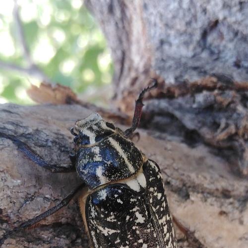 Photo #4564285