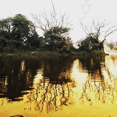Photo #4564327