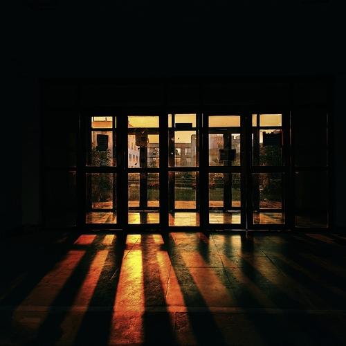 Photo #4564328