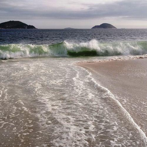 Photo #4564666