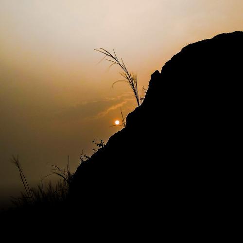 Photo #4564909