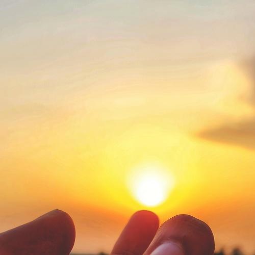 Photo #4565058
