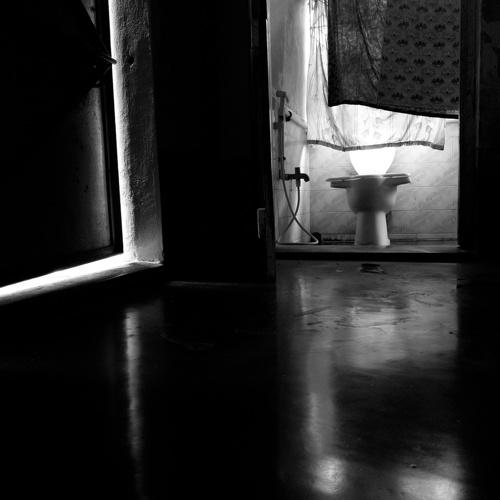 Photo #4565513