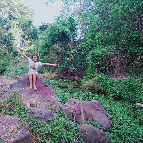 Photo #4565580