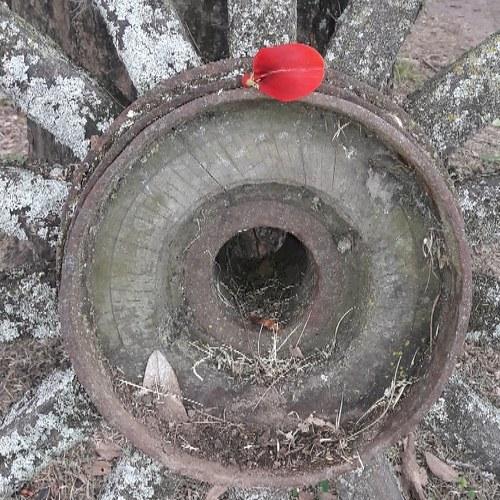Photo #4565600