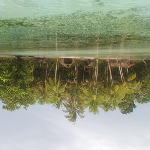 Photo #4565761