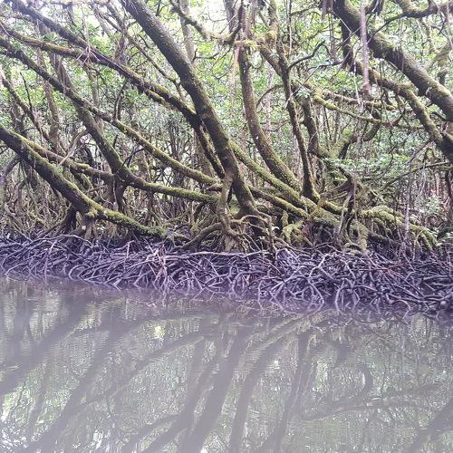 Photo #4565763