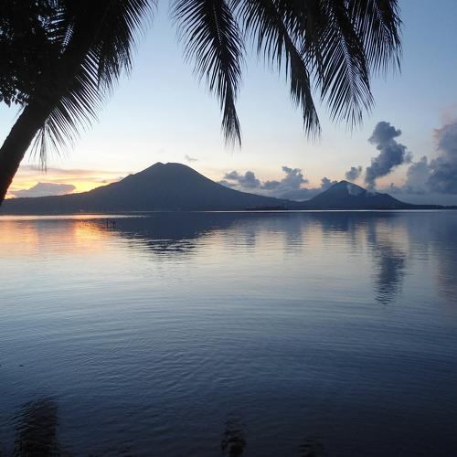 Photo #4565851