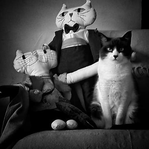 Photo #4565853