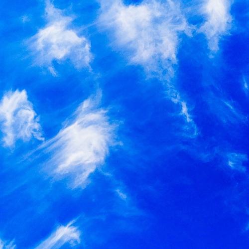 Photo #4565896