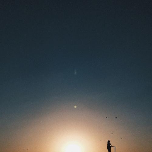 Photo #4566065