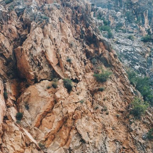 Photo #4566066