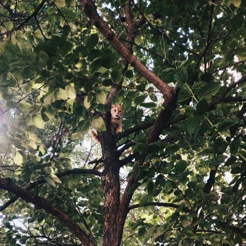 Photo #4566122