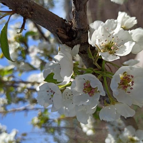 Photo #4566165