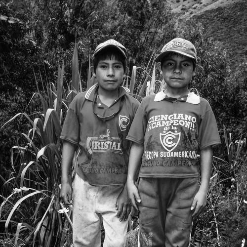 Photo #4566224