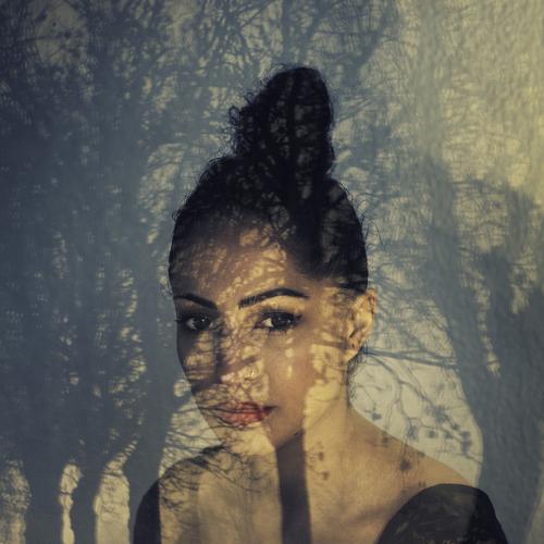 Photo #4566402