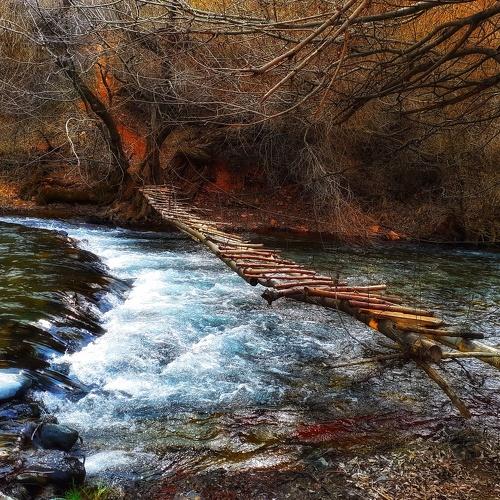 Photo #4566664