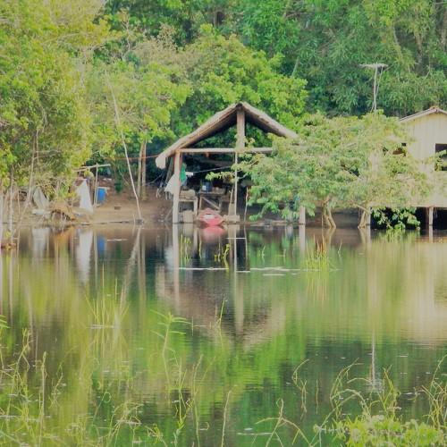Photo #4566790