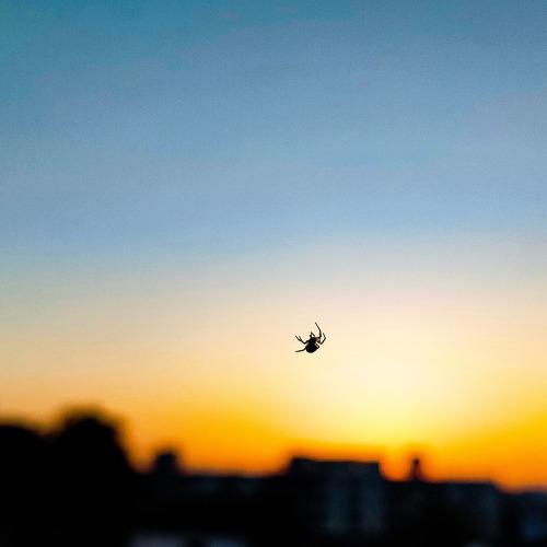 Photo #4566952