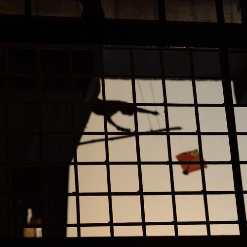 Photo #4567055