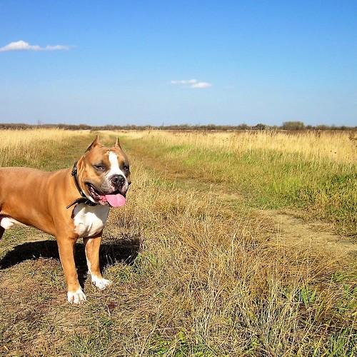 Photo #4567079
