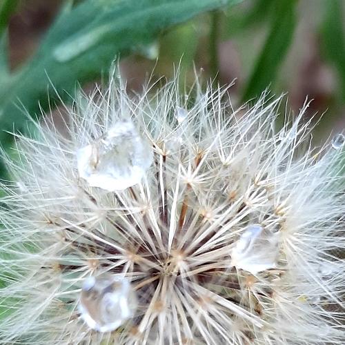 Photo #4567134