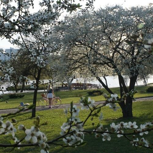 Photo #4567154