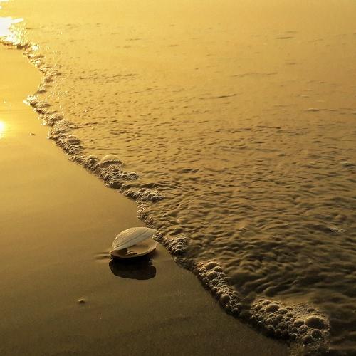 See sea