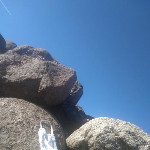 Photo #4567566