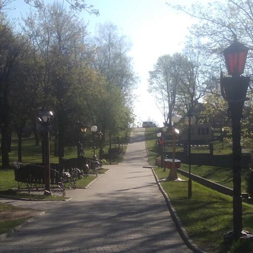 Photo #4567585