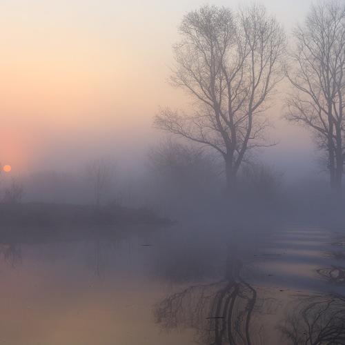 Photo #4567829