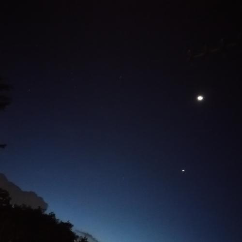 Photo #4568000