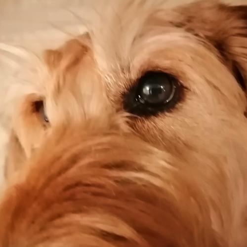 Photo #4568004