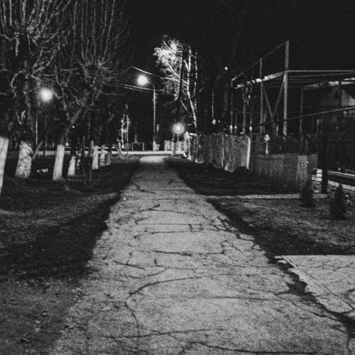 Photo #4568128