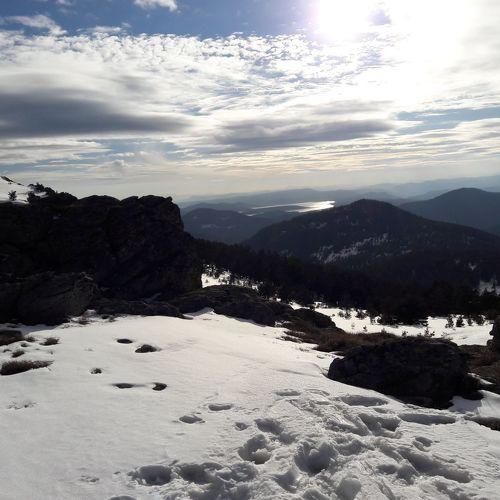 Photo #4568339