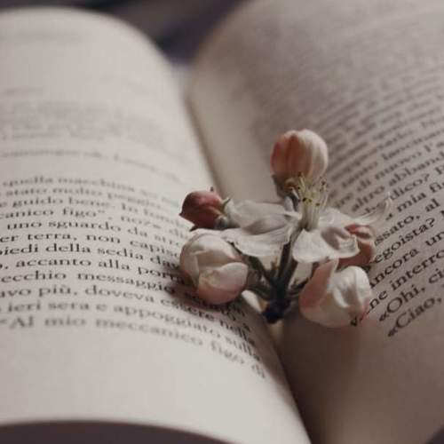 Photo #4568468